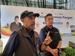 Padi Kaltim Terdampak Kekeringan, Bulog Andalkan Pasokan Beras dari Luar