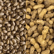 Pistachio vs Kacang Tanah, Mana yang Lebih Kaya Protein dan Serat?