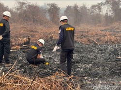 Polisi Temukan Korek Gas di TKP Dugaan Bakar Lahan Anggota DPRD Mempawah