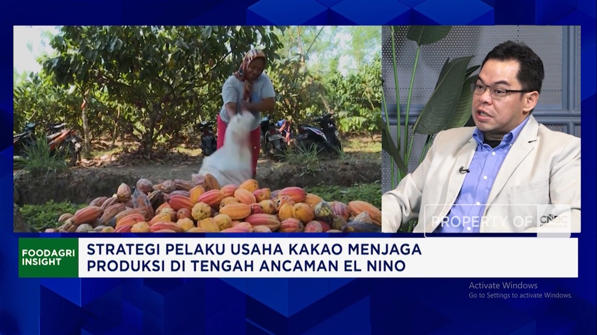 Video: Genjot Produksi Kakao, Petani Butuh Akses Pupuk - Pembiayaan