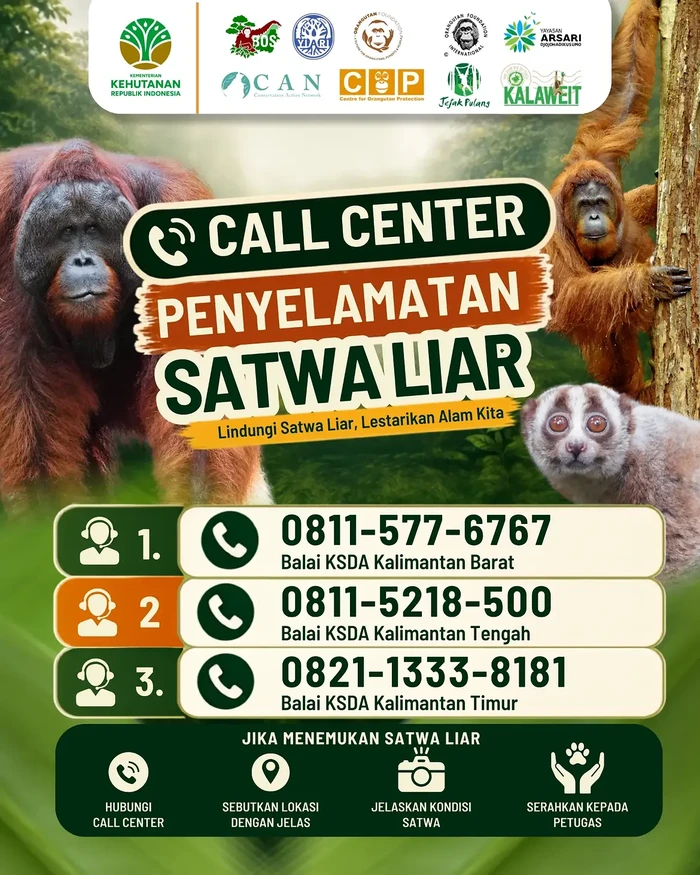 Call center Kemenhut untuk penyelamatan satwa liar terdampak kebakaran hutan