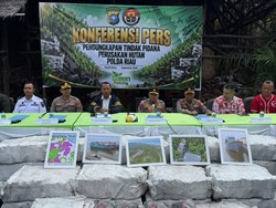 Polda Riau Bongkar Pabrik Arang Bakau Ilegal di Pulau Rupat, 114 Ton Disita