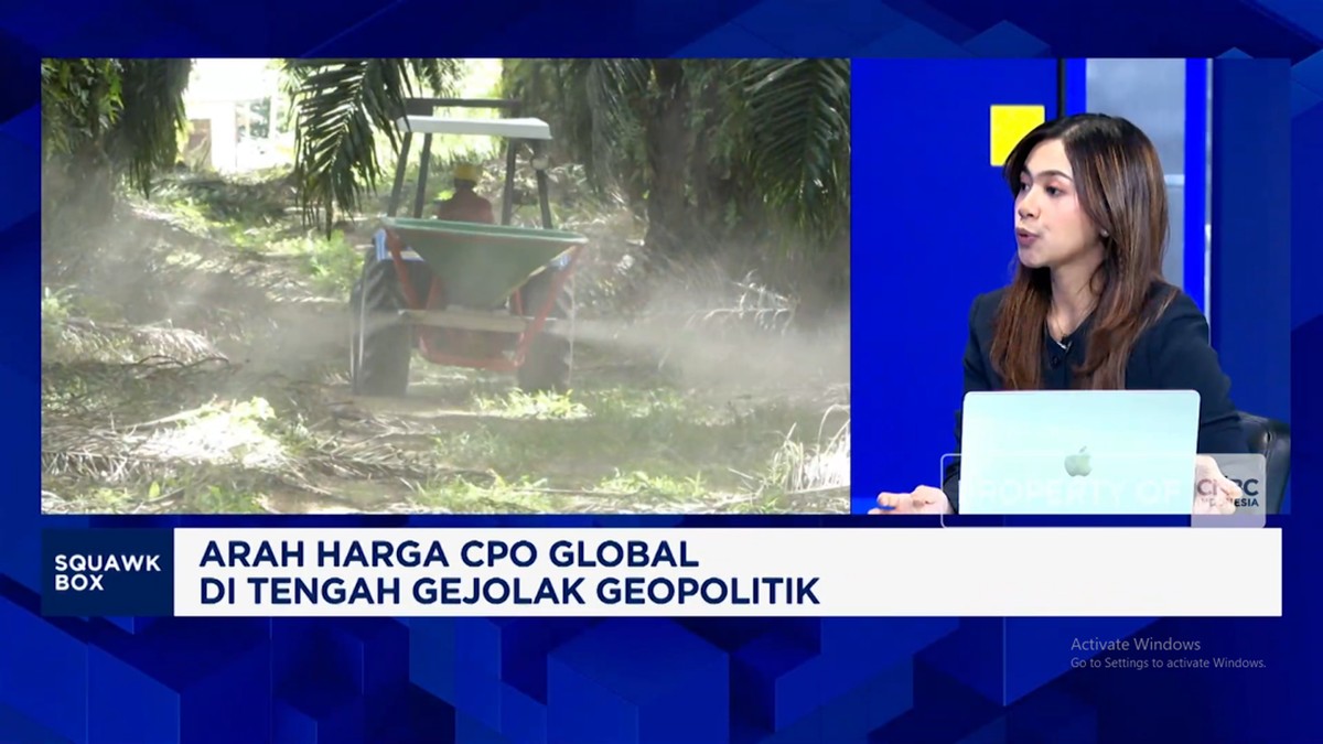 Video: Progam B50 - Risiko El Nino, Gimana Nasib Harga dan Produksi CPO?