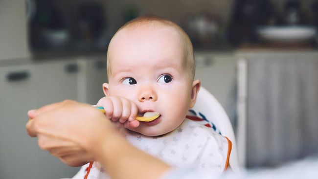 7 Resep MPASI Udang untuk Bayi 6 Bulan ke Atas, Variasi Menu agar Tak GTM