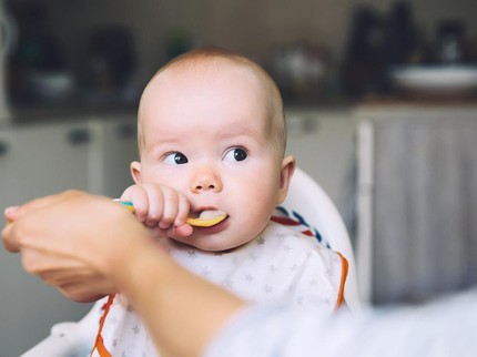 7 Resep MPASI Udang untuk Bayi 6 Bulan ke Atas, Variasi Menu agar Tak GTM