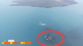Daratan baru di Gunung Anak Krakatau