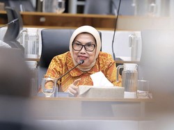 Legislator Gerindra Dorong Pemetaan Data Rendeman Tebu, Lengkap Tiap Wilayah