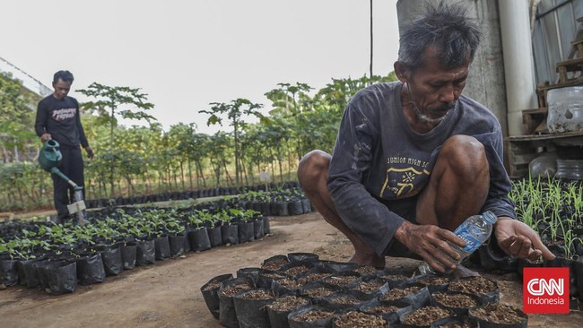 Sejumlah warga beraktivitas di area pertanian Kampung Bayam Madani, Tanjung Priok, Jakarta Utara, Selasa (15/9). (CNN Indonesia/Febria Adha L).