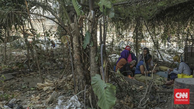Sejumlah warga beraktivitas di area pertanian Kampung Bayam Madani, Tanjung Priok, Jakarta Utara, Selasa (15/9). (CNN Indonesia/Febria Adha L).