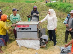 Begini Upaya Pemprov Jatim Antisipasi Dampak Kekeringan pada Pertanian