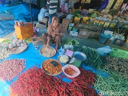 Harga Cabai Rawit di Polman Tembus Rp 120 Ribu/Kg Imbas Kemarau