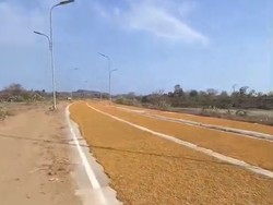 Video: Viral Jalan Raya di KEK Mandalika Penuh Jemuran Tembakau