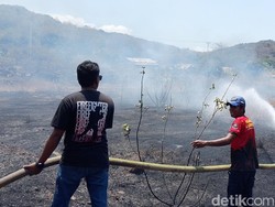Kebakaran Lahan di Larantuka, Asap Pekat Ganggu Aktivitas Sekolah
