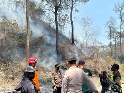 Kebakaran 60 Hektare Lahan Hutan di Lereng Merapi Akhirnya Padam