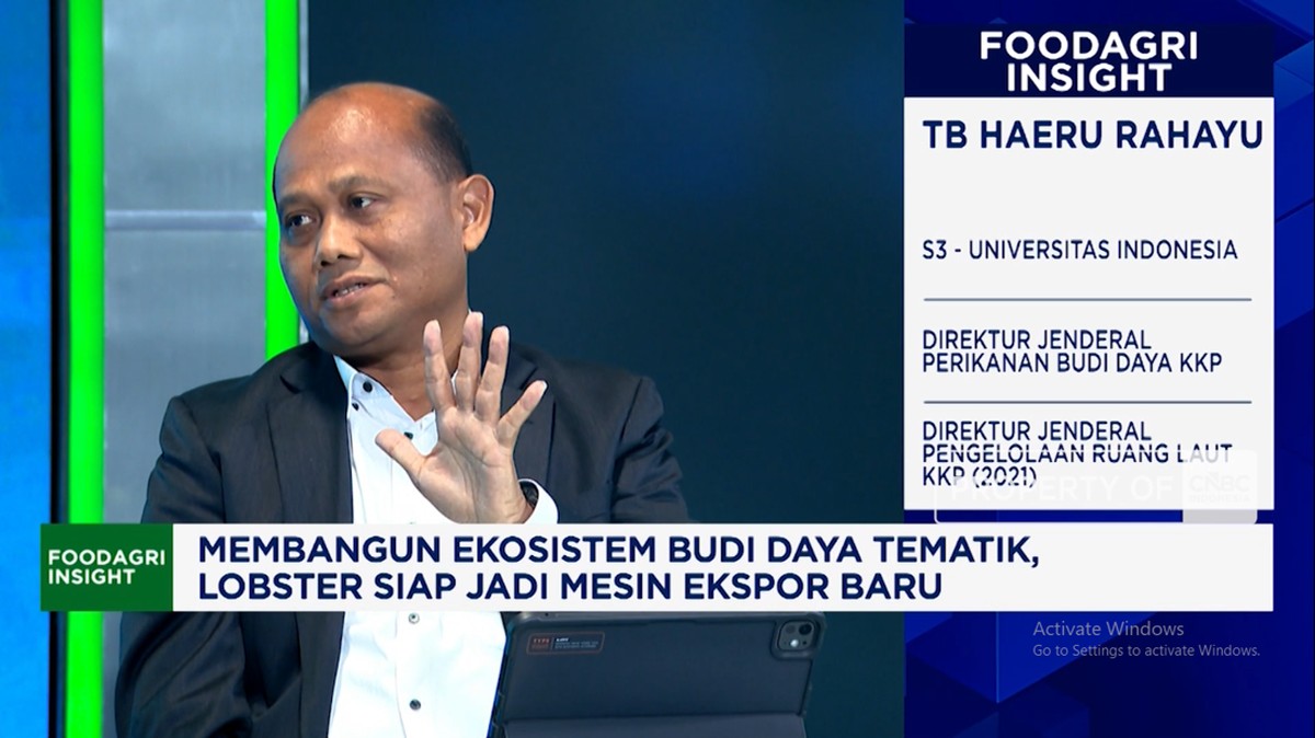 Video: Lobster RI Sukses Diekspor ke Singapura, KKP Kebut Budi Daya