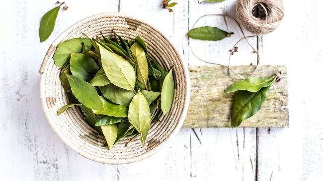 Manfaat Menggunakan Daun Salam untuk Rambut