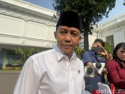 Prabowo Rapat Karhutla di Istana, Menhut: Kalsel-Kalteng Konsentrasi Utama