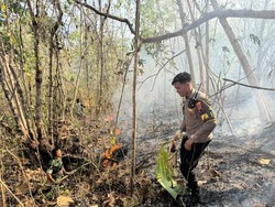 Kebakaran Hutan Perhutani di Wonosobo Sudah 3 Hari Belum Padam