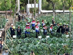 Petani di Bandung Manfaatkan Panas Bumi untuk Hasilkan Pupuk GeO-Fert