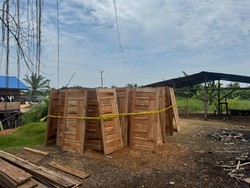 Polres Rohil Bongkar Pengolahan Kayu Illegal Logging, 2 Tersangka Dijerat