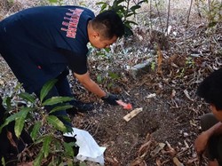 Heboh Janin Bayi Ditemukan Terkubur di Pekarangan Rumah Warga Lampung