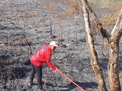 Karhutla di TN Gunung Rinjani Capai 589,23 Hektare