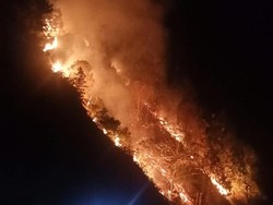 5 Hektare Hutan Lindung di Battang Barat Palopo Terbakar
