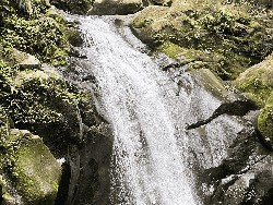 Curug Naga, Keindahan yang Menanti di Balik Trek Menantang