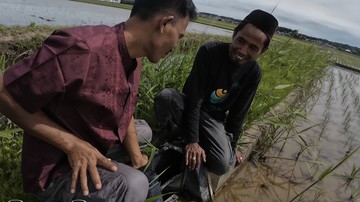 Cerita WNI Jadi Petani Sukses di Jepang, Kini Garap Lahan Sendiri