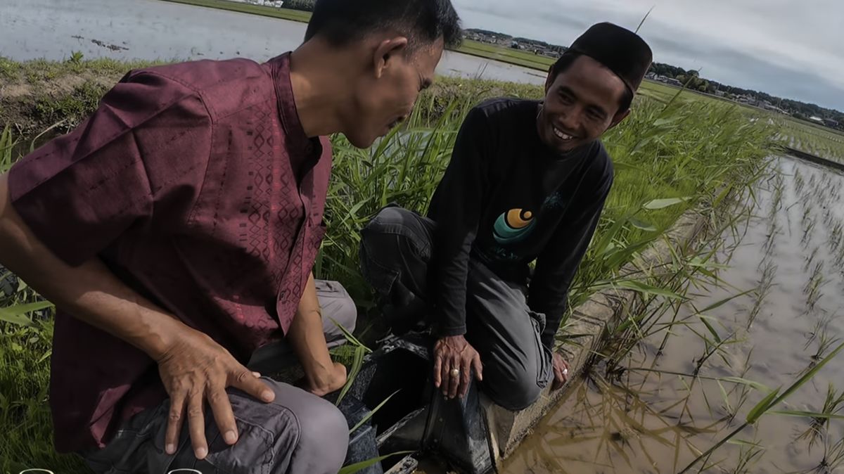Cerita WNI Jadi Petani Sukses di Jepang, Kini Garap Lahan Sendiri