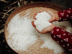 Praktis! 6 Tips Simpan Beras agar Tak Mudah Berkutu