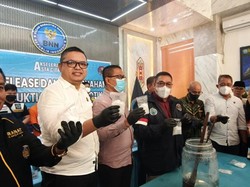 Saat Petugas Kejar-kejaran Menangkap Pria Penyelundup 1 Kg Sabu di Kobar