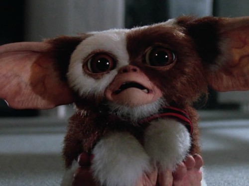 Film Gremlins 2: The New Batch (1990)