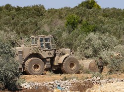 Video Jelang Panen Raya, Kebun Zaitun Palestina Diratakan Buldoser Israel!