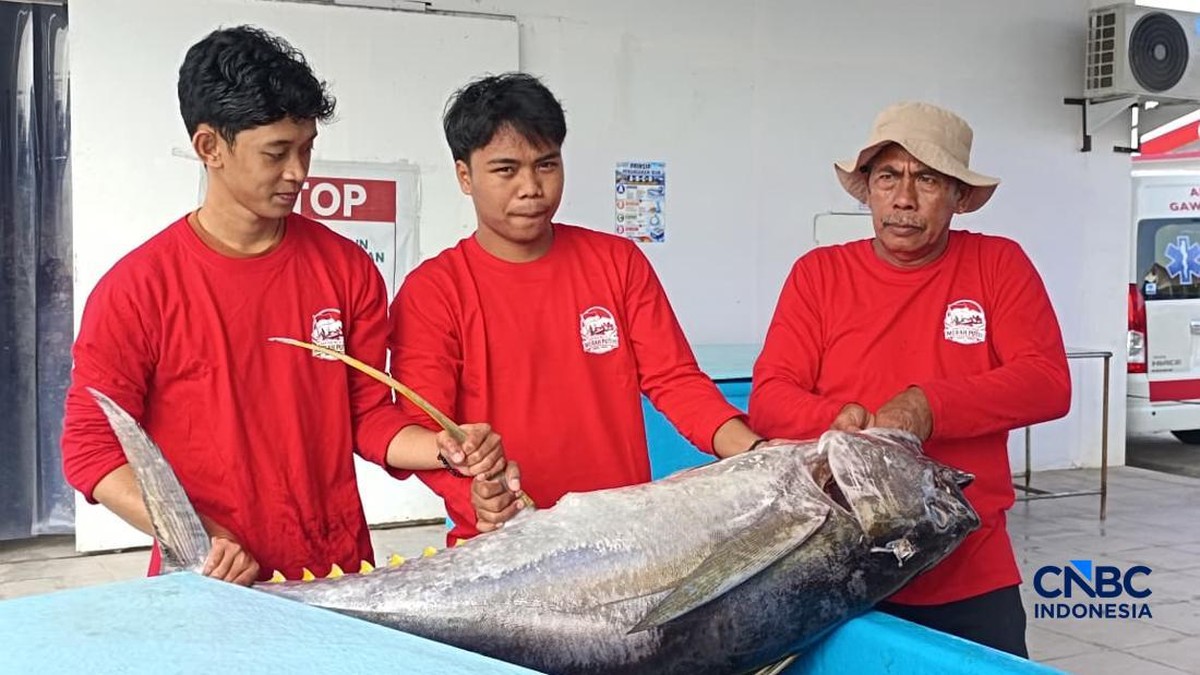 Harga Tuna Naik Berkat KNMP Tongke-Tongke, Nasib Tengkulak Ikan Modar