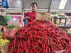 Cabai Gunung Mahal, Pedagang di Medan Jual Cabai Asal Jawa