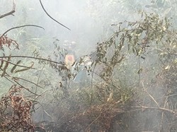 Helikopter Water Bombing Dikerahkan untuk Padamkan Karhutla di Way Kambas