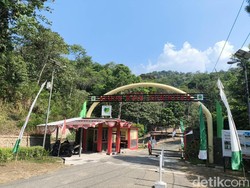 Menjelajah 9 Zona Edukasi di Kebun Raya Kuningan