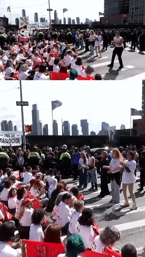 Aktris Susan Sarandon Ditangkap saat Ikut Demo Anti-Netanyahu