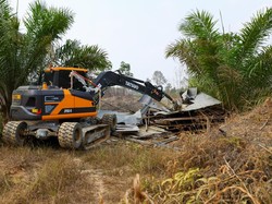 Otorita IKN Ungkap Ada Warga Buka Lahan di Hutan, Lalu Bangun Pondok-Kebun