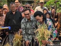 Parkir di Alkid Jogja Bakal Digital Buntut Food Truck Bolosego Kena Pungli