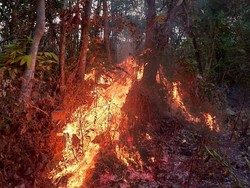 Lahan di Lebak Tumpang Kota Kediri Terbakar, Api dari Pembakaran Sampah