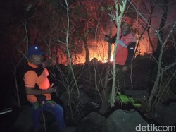 Hutan di Tigawasa Buleleng Terbakar, Warga Ikut Bantu Pemadaman