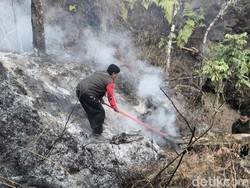 Karhutla Tak Kunjung Padam, 977,74 Hektare TN Gunung Rinjani Terdampak