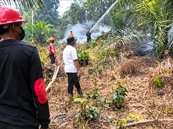 Karhutla Kembali Membara di Muaro Jambi, Satgas Lakukan Pemadaman