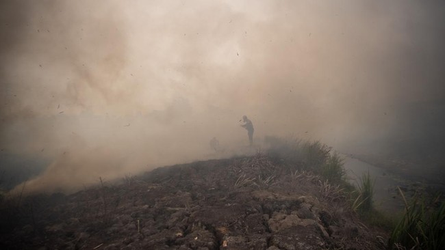 40 Ribu Balita Kena ISPA Akibat Asap Karhutla