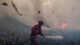 Personel Manggala Agni Daops Sumatera XIV-Banyuasin berusaha memadamkan kebakaran lahan di Desa Muara Baru, Pemulutan, Ogan Ilir (OI), Sumatera Selatan, Jumat (25/9/2026). Petugas gabungan dari Manggala Agni Daops Sumatera XIV-Banyuasin, Daops Sumate