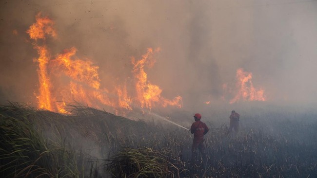 40 Ribu Balita Kena ISPA Akibat Asap Karhutla