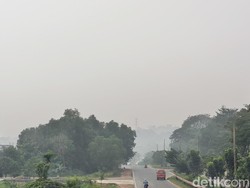 Kabut Asap Selimuti Batam, Jarak Pandang di Bandara Hang Nadim 2-3 Km