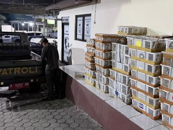 Penyelundupan 2.775 Burung dari Palembang ke Jakarta Digagalkan di Bakauheni